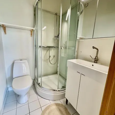 Leilighet I Herskapelig Τρόντχαϊμ